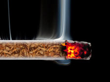 Cigarette Burn Section