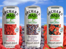 Fruit Drinks in Foil Laminates