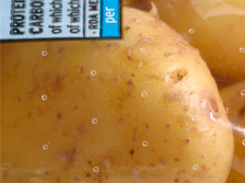 Breathable Packaging