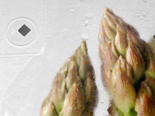 Vented Pack Technology