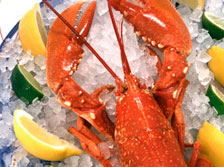Lobster