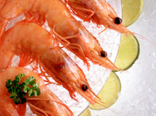 Prawns