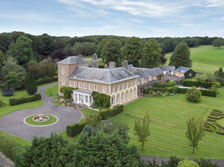 Remote Control Aerial